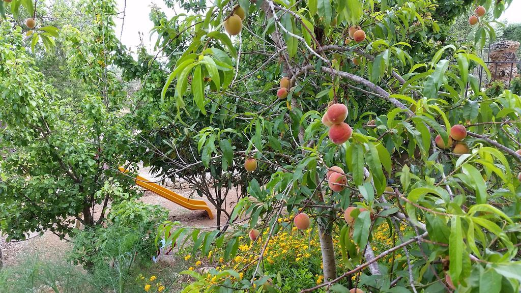 Patù Masseria Ruri Pulcra מראה חיצוני תמונה